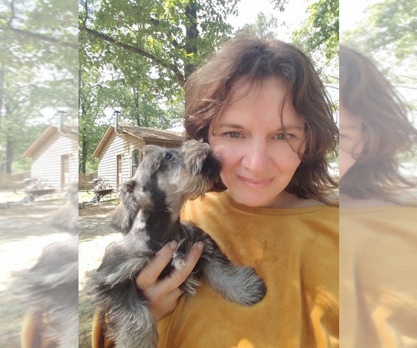 Medium Photo #1  Breeder Profile in FAYETTEVILLE, NC, USA
