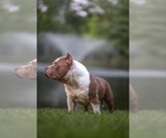 Small #15 Breeder Profile image
