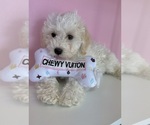 Small #2 Breeder Profile image
