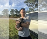 Small #4 Breeder Profile image