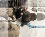 Small #28 Breeder Profile image