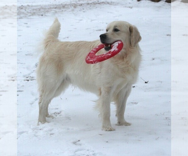 Medium Photo #4  Breeder Profile in MARSHFIELD, WI, USA