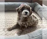 Small #13 Breeder Profile image