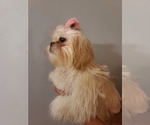 Small #15 Breeder Profile image