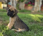 Small #24 Breeder Profile image