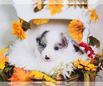 Small #40 Breeder Profile image