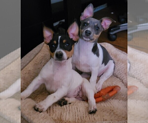 Medium Photo #9  Breeder Profile in CLAREMORE, OK, USA