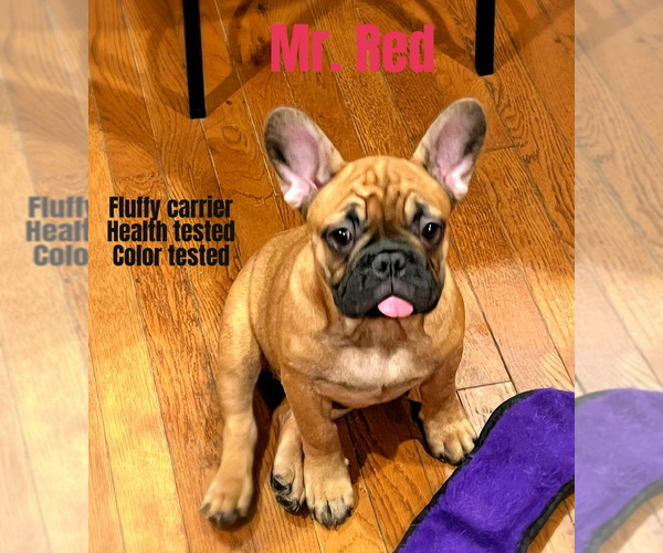 Medium Photo #1  Breeder Profile in RIVES JUNCTION, MI, USA