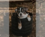 Small #7 Breeder Profile image