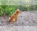Small #3 Breeder Profile image