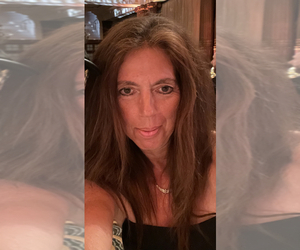 German Shepherd Dog Dog Breeder near BRONX, NY, USA