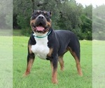 Small #8 Breeder Profile image