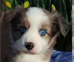 Small #2 Breeder Profile image