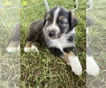 Small #7 Breeder Profile image