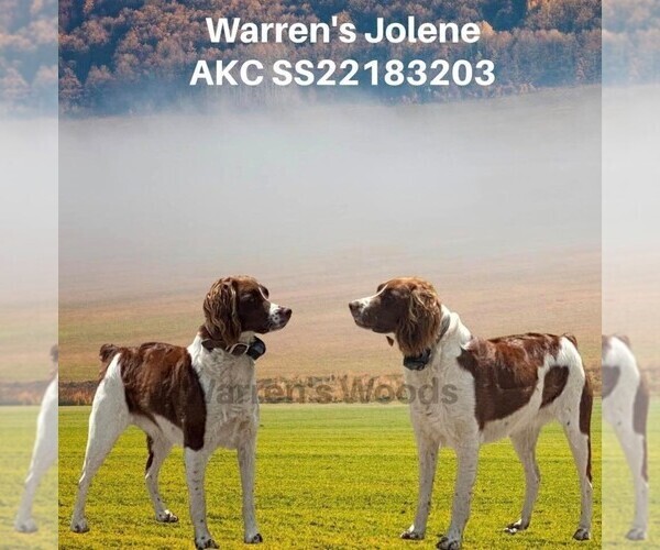 Medium Photo #11  Breeder Profile in THOMPSONVILLE, MI, USA