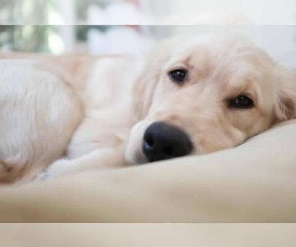 Medium Photo #1  Breeder Profile in WINCHESTER, CA, USA