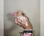 Small #15 Breeder Profile image
