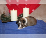 Small #3 Breeder Profile image