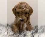Small #5 Breeder Profile image