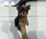 Small #3 Breeder Profile image