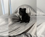 Small #5 Breeder Profile image