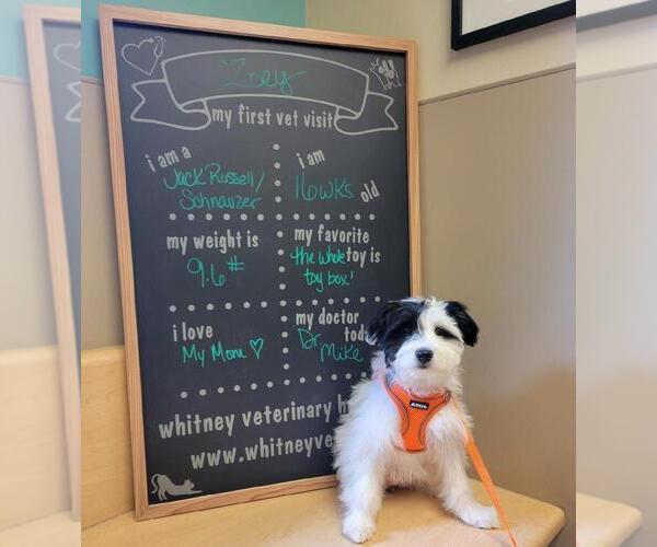 Medium Photo #13  Breeder Profile in ENID, OK, USA