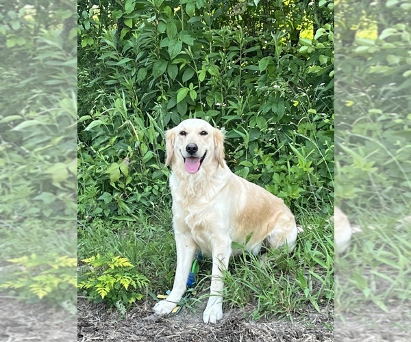 Medium Photo #4  Breeder Profile in SWEETWATER, TN, USA