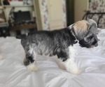 Small #8 Breeder Profile image