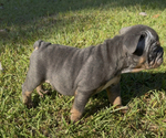 Small #3 Breeder Profile image