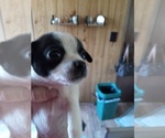 Small #5 Breeder Profile image