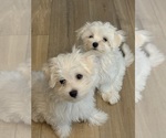 Small #2 Breeder Profile image