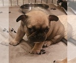 Small #21 Breeder Profile image