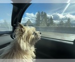 Small #42 Breeder Profile image