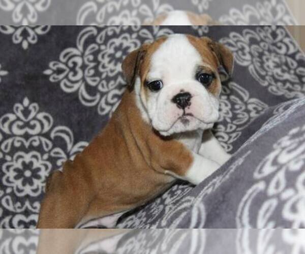 Medium Photo #1  Breeder Profile in RICHMOND, KY, USA
