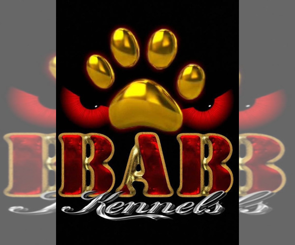 Medium Photo #1  Breeder Profile in WICHITA FALLS, TX, USA