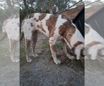 Small #1 Breeder Profile image
