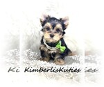 Small breeder photo