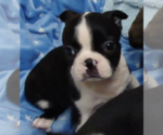 Small #11 Breeder Profile image