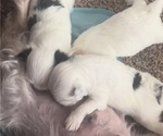 Small #10 Breeder Profile image
