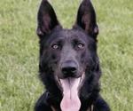 Small #3 Breeder Profile image