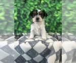 Small #6 Breeder Profile image
