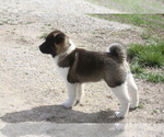 Small #3 Breeder Profile image