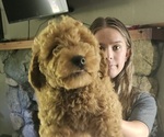 Small #9 Breeder Profile image