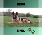 Small #8 Breeder Profile image