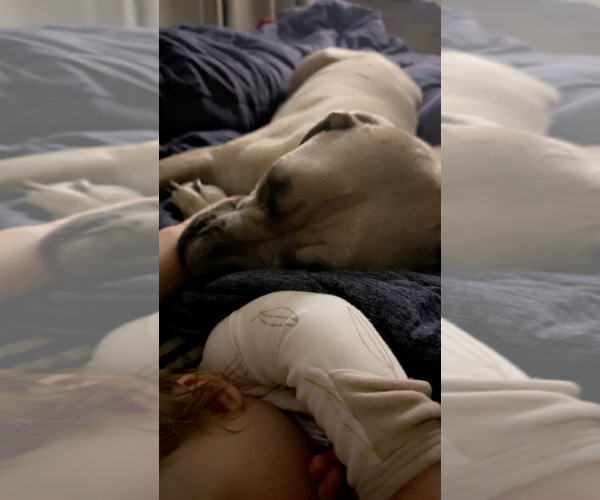 Medium Photo #2  Breeder Profile in STUART, IA, USA