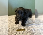 Small #10 Breeder Profile image