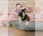 Small #7 Breeder Profile image