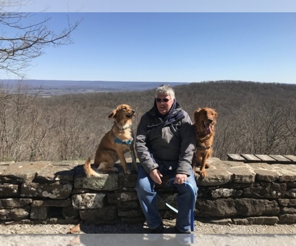 Medium Photo #1  Breeder Profile in OWENS CROSS ROADS, AL, USA