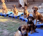 Small #5 Breeder Profile image