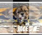 Small #7 Breeder Profile image